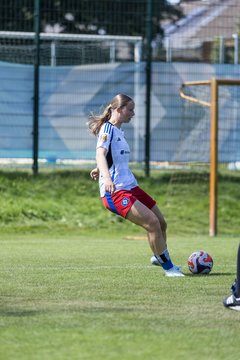 Bild 352 - wBJ Hamburger SV - VfL Wolfsburg : Ergebnis: 5:1